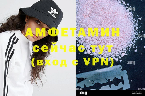 стаф Верея