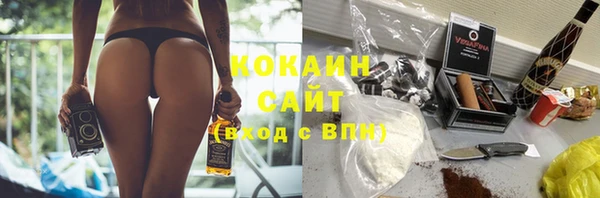 стаф Верея
