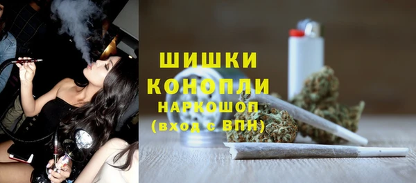 стаф Верея