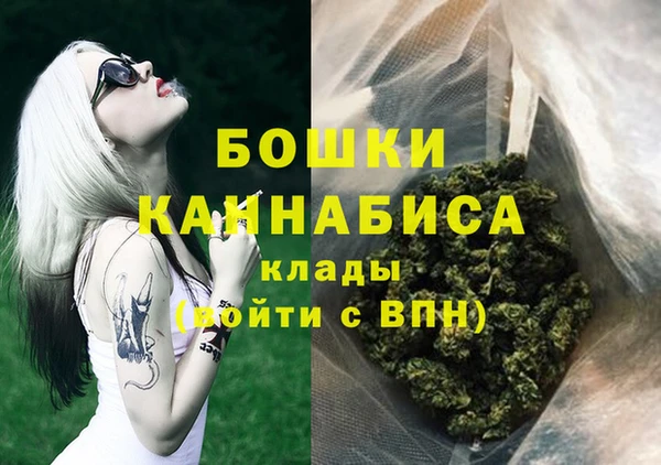 стаф Верея