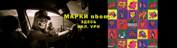 стаф Верея