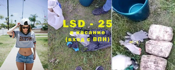 стаф Верея