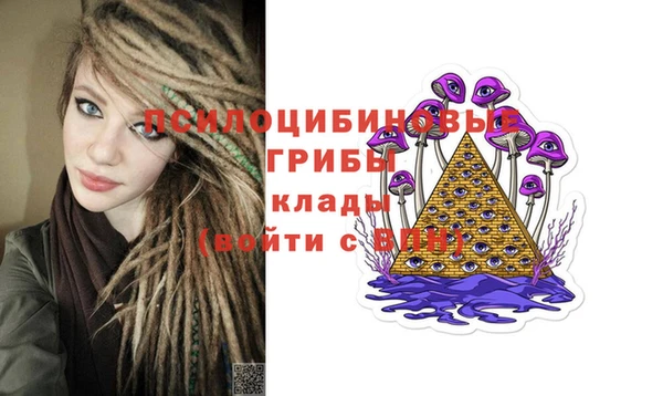 стаф Верея