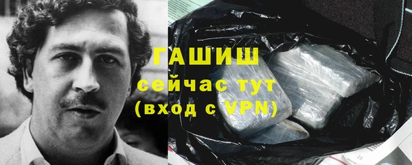 стаф Верея