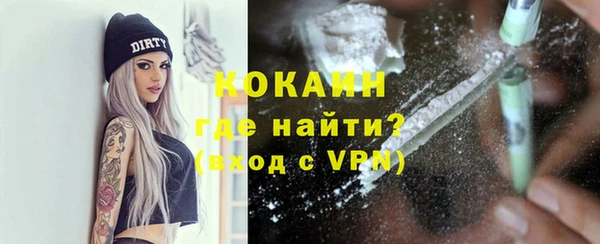 стаф Верея