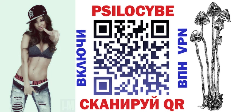 Купить где  Кудрово  Галлюциногенные грибы Cubensis 